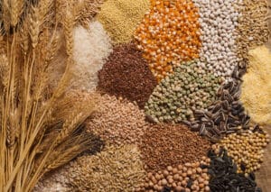 Los cereales y tubérculos aportan almidón, fibra, proteínas, vitaminas del complejo B y minerales. 